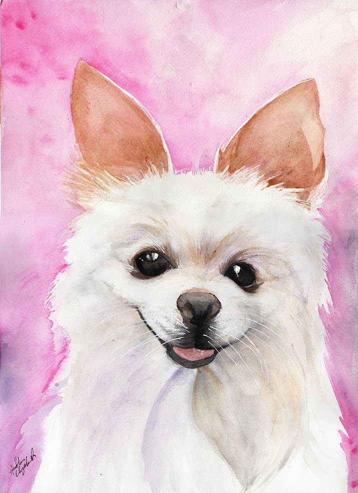 Newest pet portraits of August! Watercolors  watercolor artist pet portraits creative blogger artist blogger   